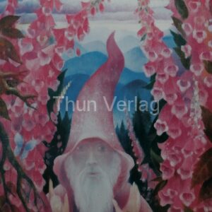 1) Fingerhut Öl 1980 ( Naparstnica olej 1980)